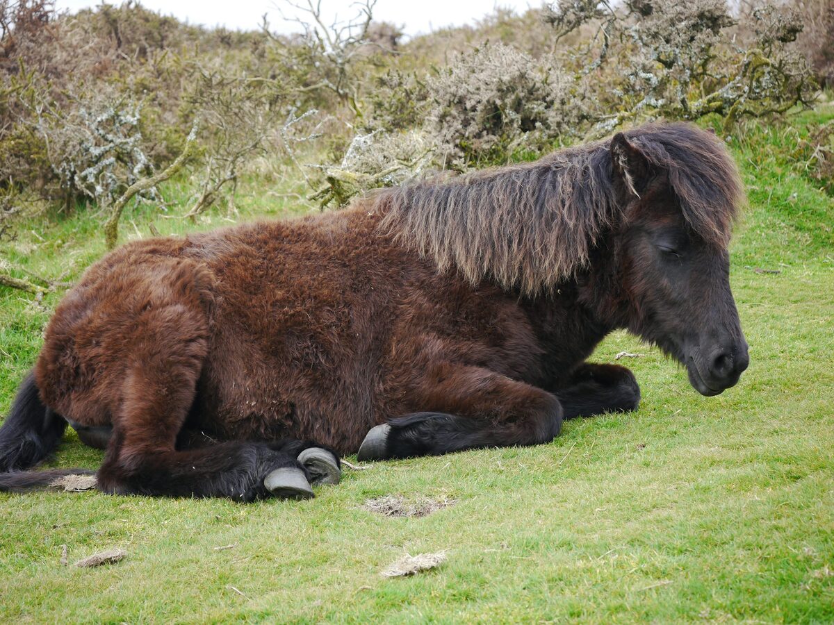 Ort & Umgebung — Exeter Bild 3